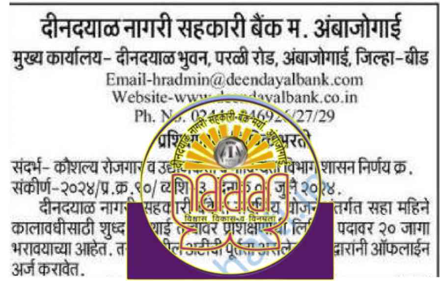 DNS Bank Ltd Beed Recruitment 2024